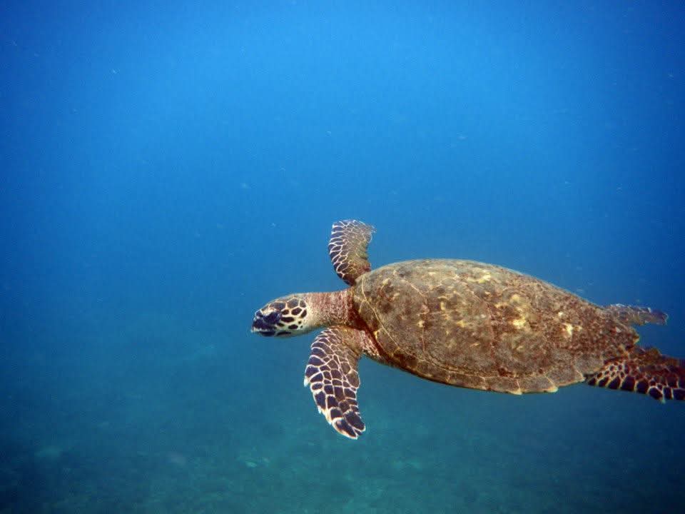 Experiencias Exclusivas