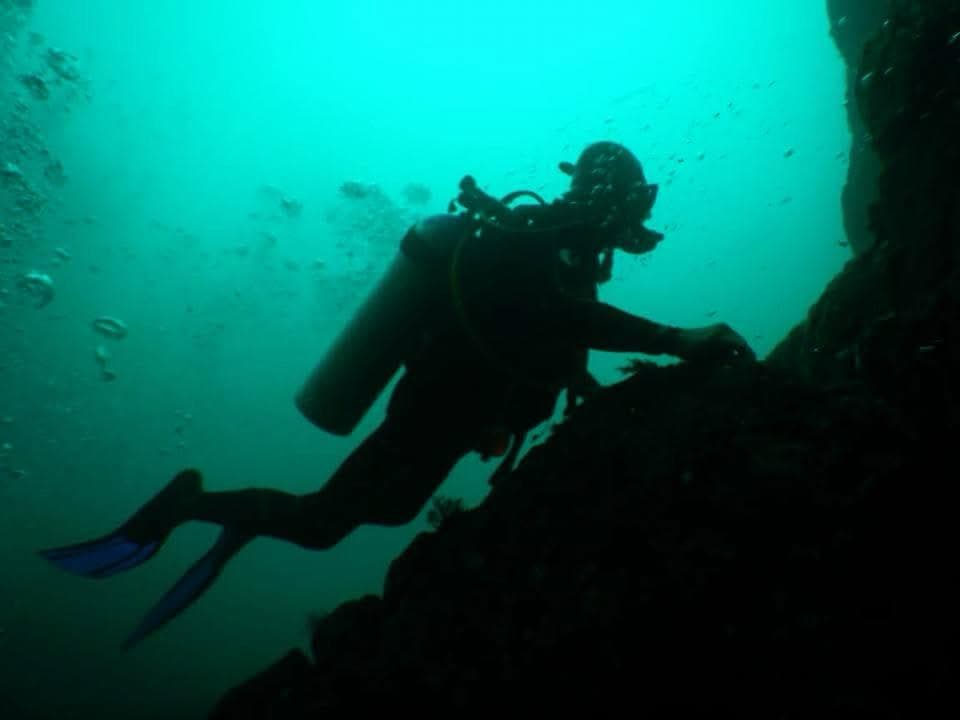 Curso de Buceo Aguas Abiertas